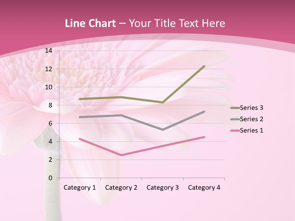 Blossom Circle Gerbera PowerPoint Template