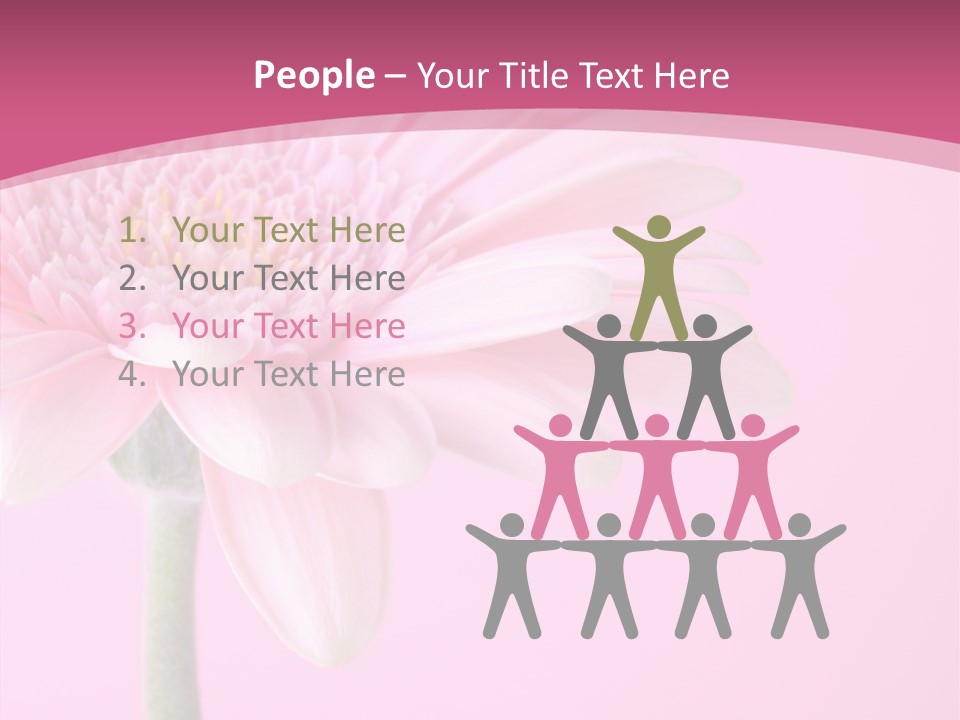 Blossom Circle Gerbera PowerPoint Template