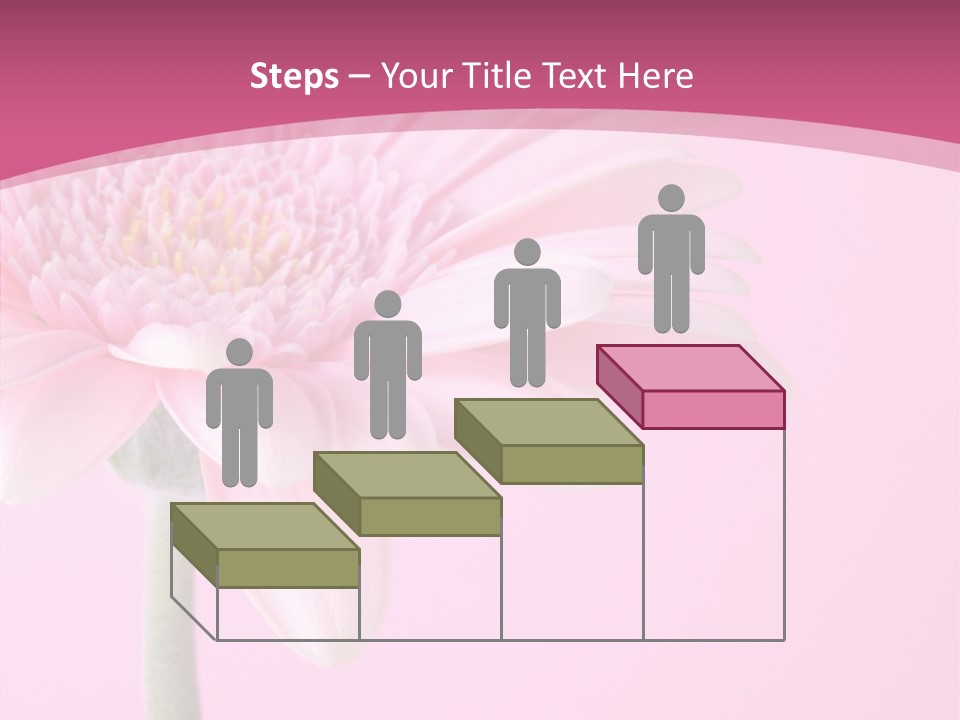 Blossom Circle Gerbera PowerPoint Template