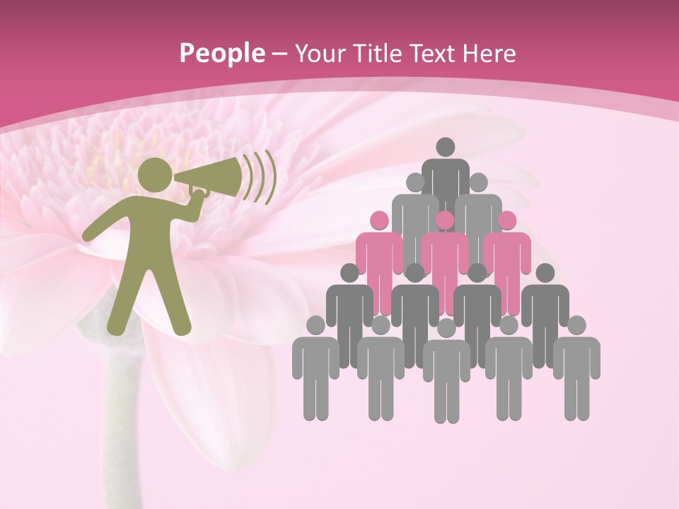 Blossom Circle Gerbera PowerPoint Template