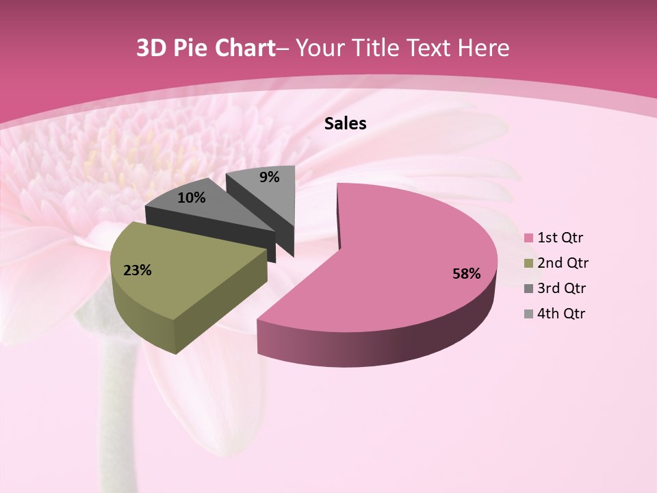 Blossom Circle Gerbera PowerPoint Template