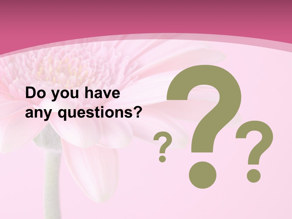 Blossom Circle Gerbera PowerPoint Template