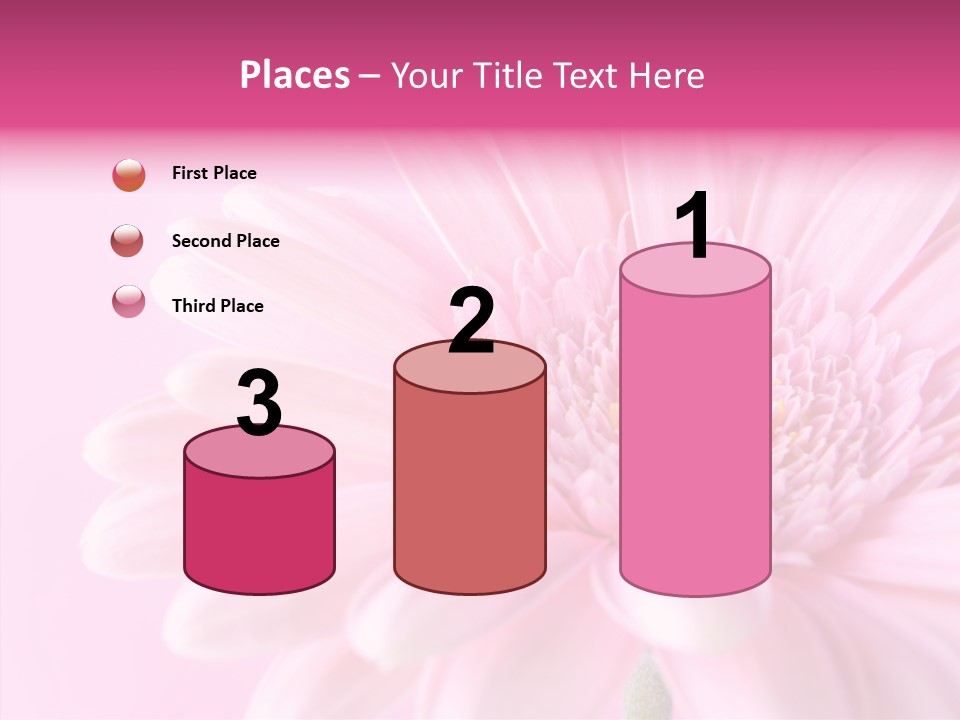 Bloom Gerbera Pink PowerPoint Template