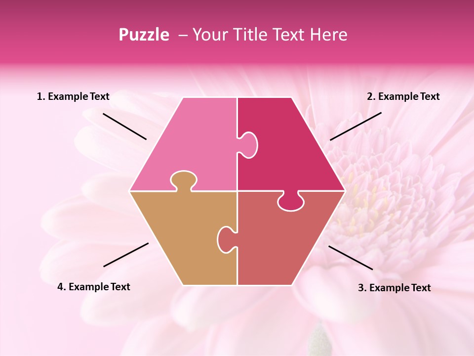Bloom Gerbera Pink PowerPoint Template