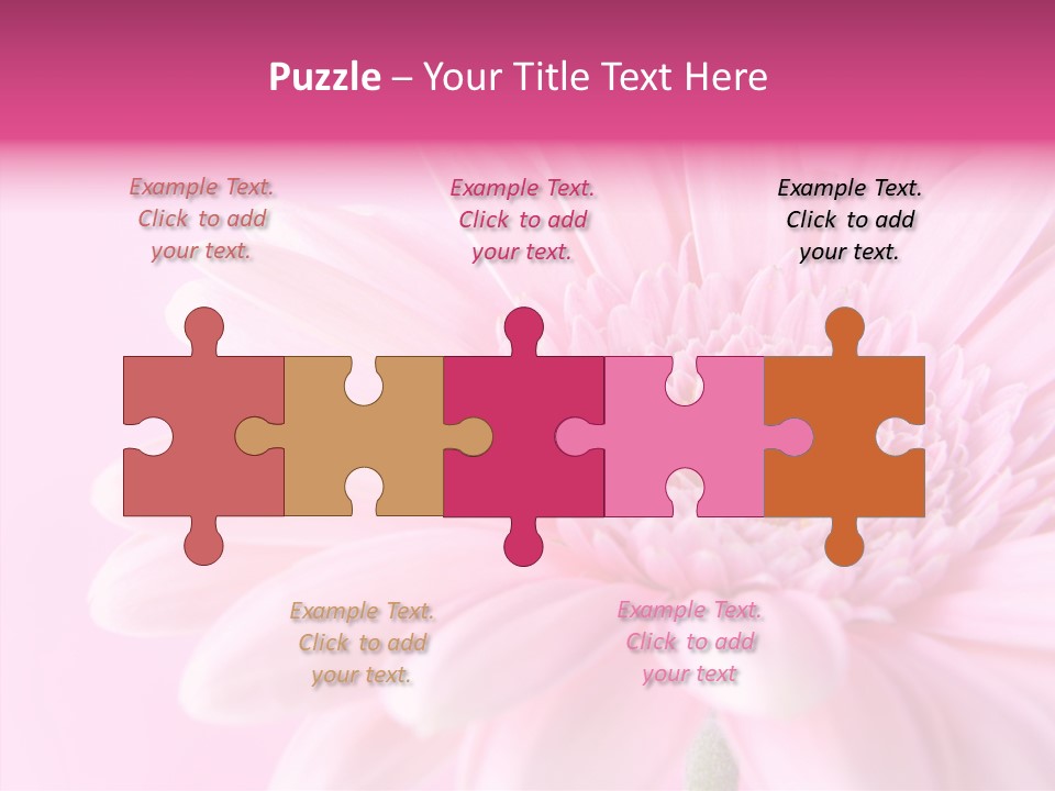 Bloom Gerbera Pink PowerPoint Template