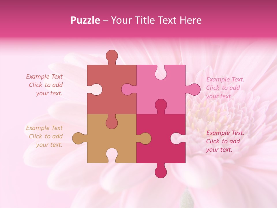Bloom Gerbera Pink PowerPoint Template