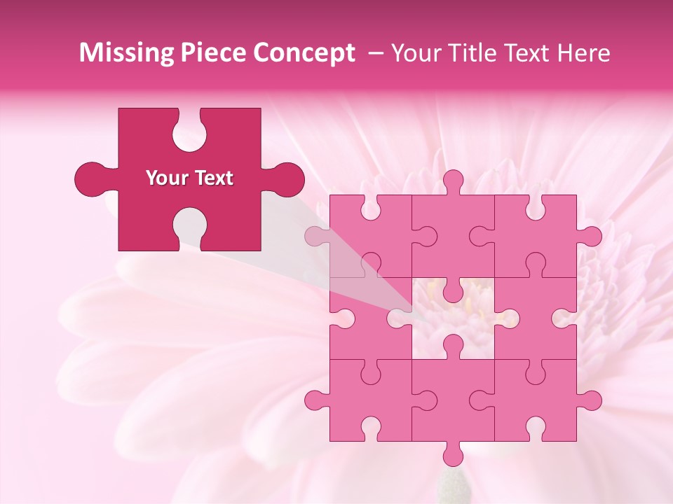 Bloom Gerbera Pink PowerPoint Template