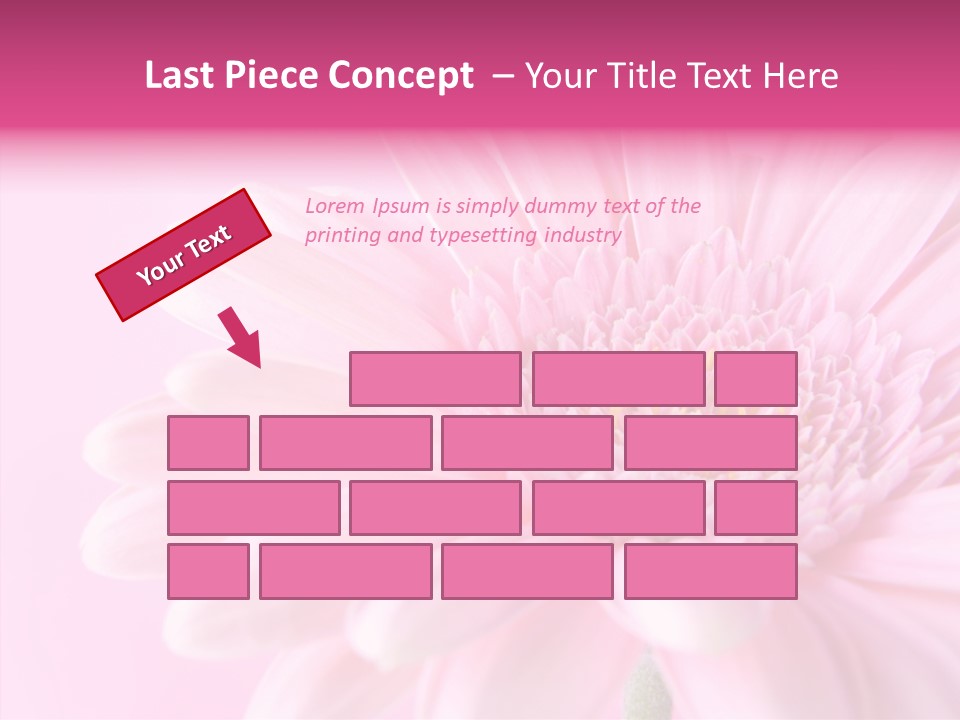 Bloom Gerbera Pink PowerPoint Template