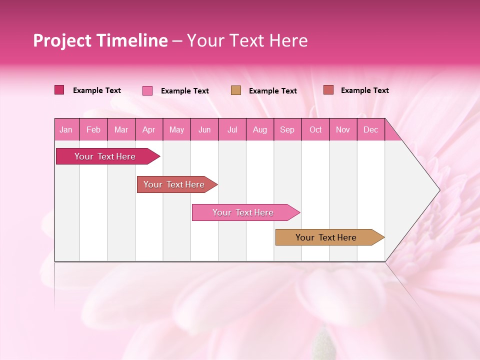 Bloom Gerbera Pink PowerPoint Template