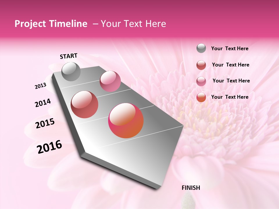Bloom Gerbera Pink PowerPoint Template