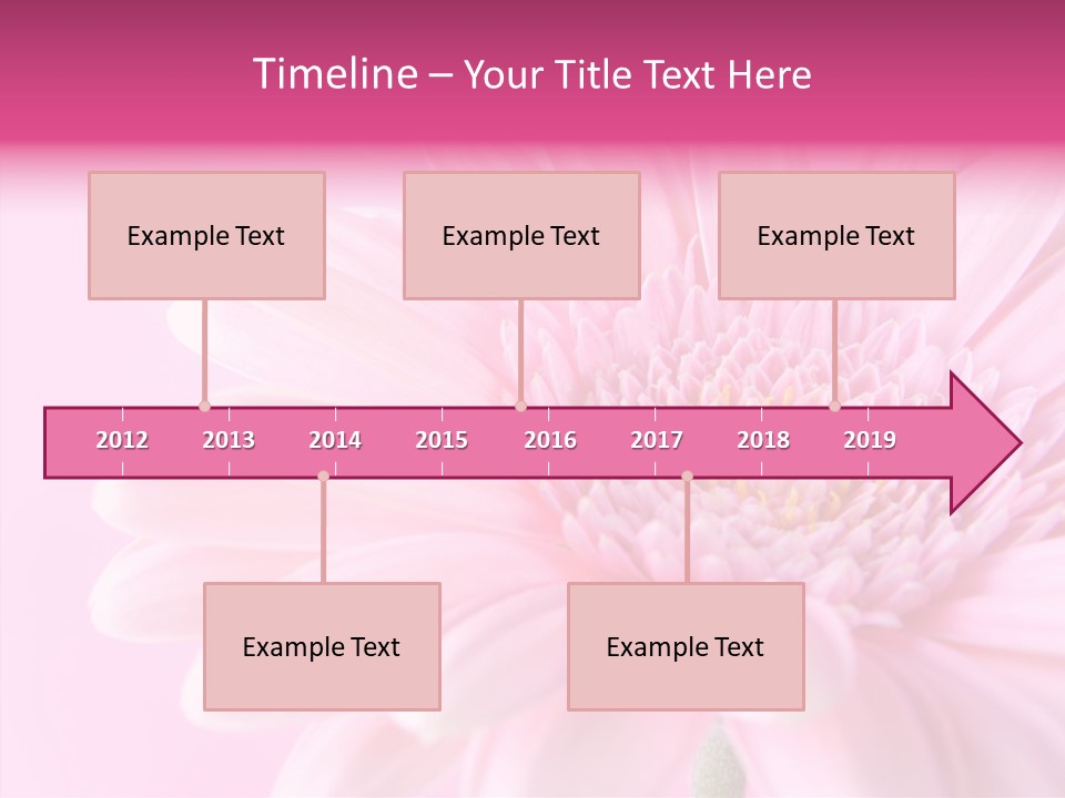 Bloom Gerbera Pink PowerPoint Template