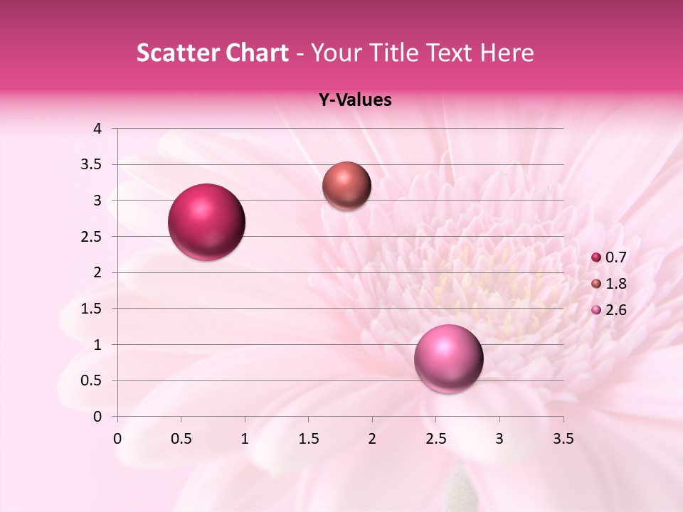 Bloom Gerbera Pink PowerPoint Template