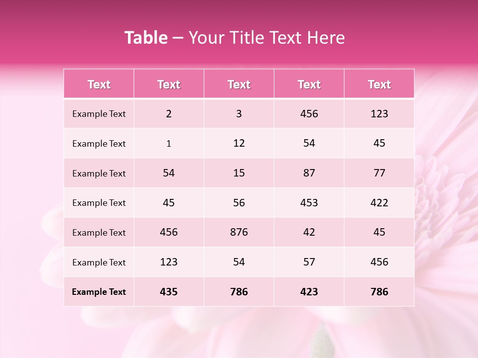 Bloom Gerbera Pink PowerPoint Template