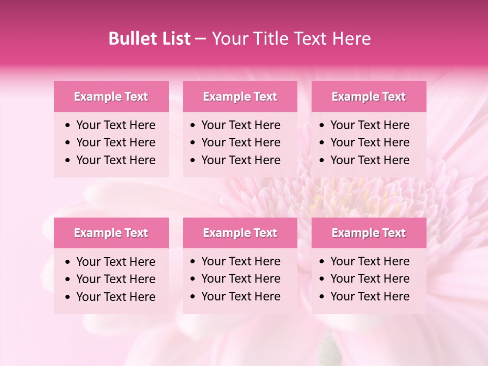 Bloom Gerbera Pink PowerPoint Template