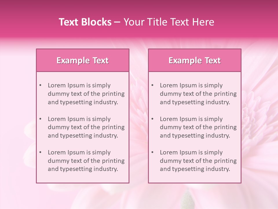 Bloom Gerbera Pink PowerPoint Template