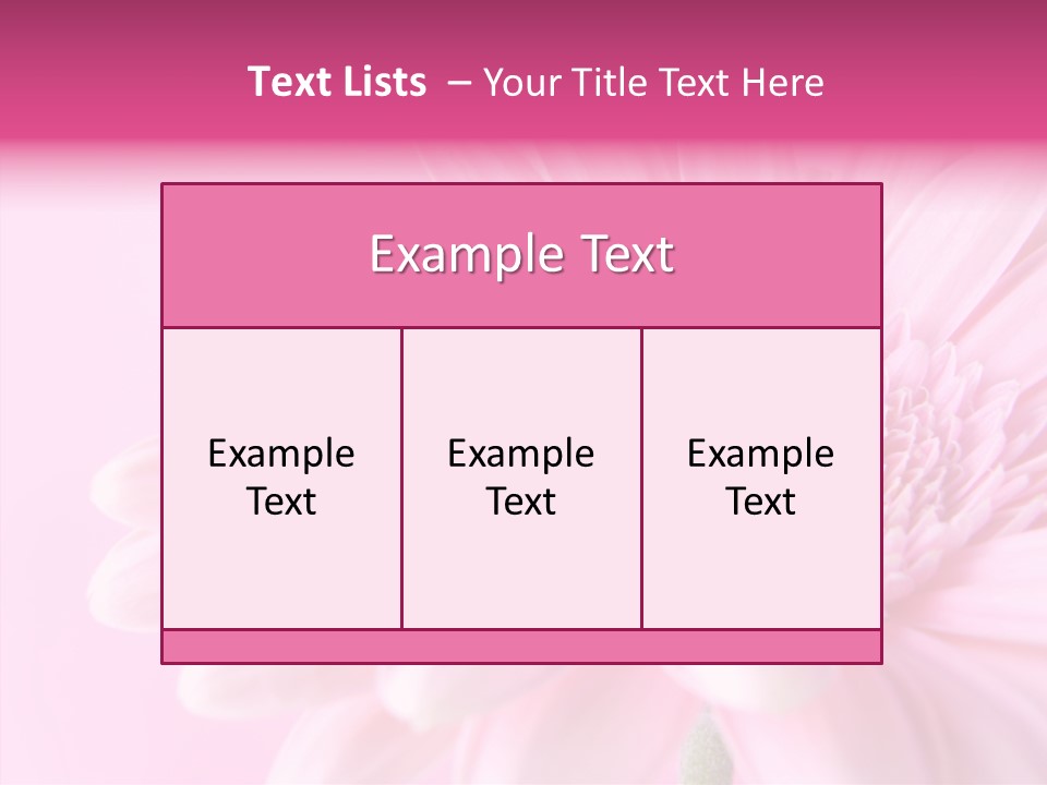 Bloom Gerbera Pink PowerPoint Template