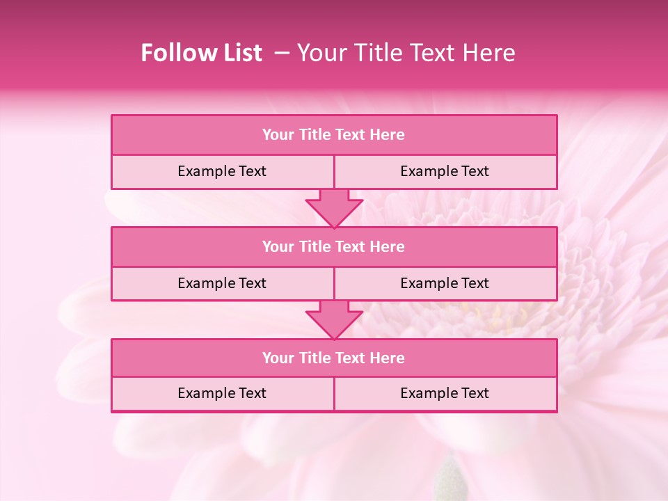 Bloom Gerbera Pink PowerPoint Template