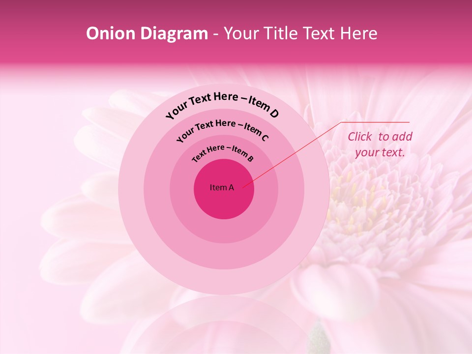 Bloom Gerbera Pink PowerPoint Template