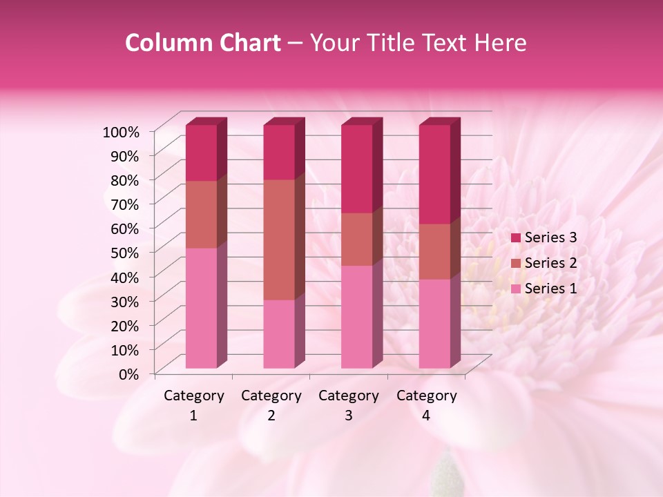Bloom Gerbera Pink PowerPoint Template