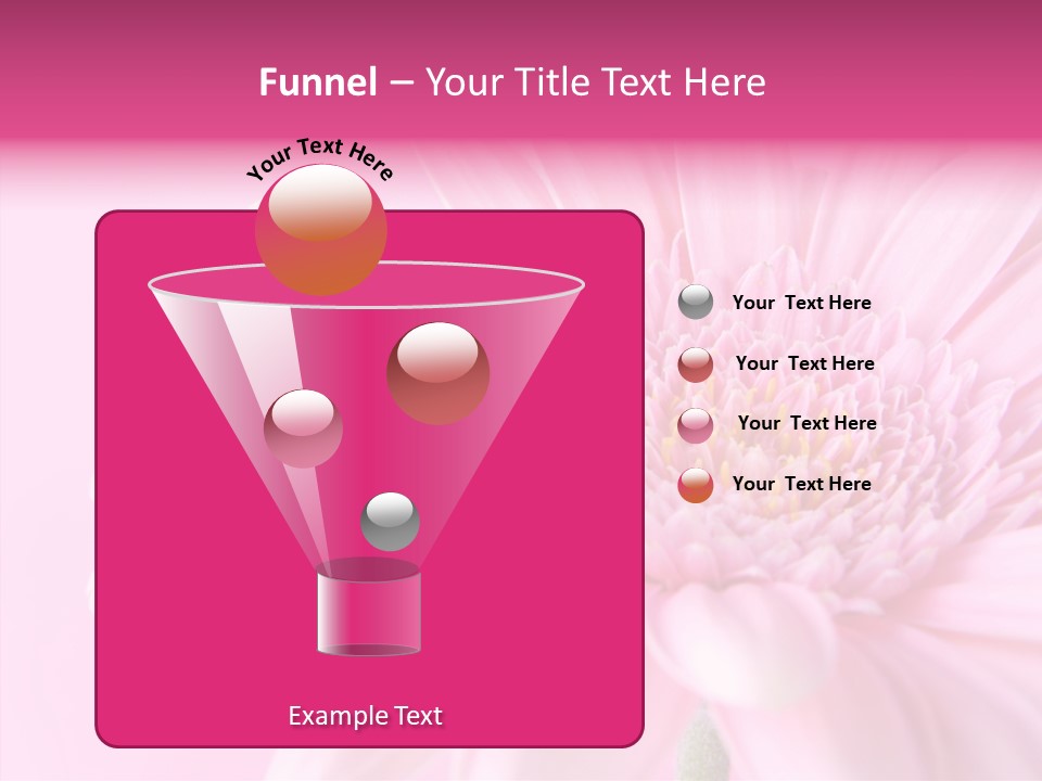 Bloom Gerbera Pink PowerPoint Template