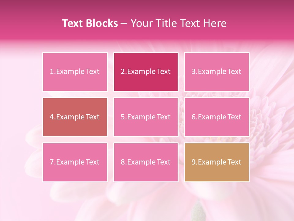 Bloom Gerbera Pink PowerPoint Template