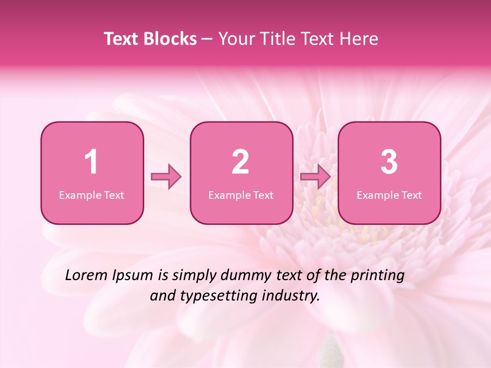Bloom Gerbera Pink PowerPoint Template