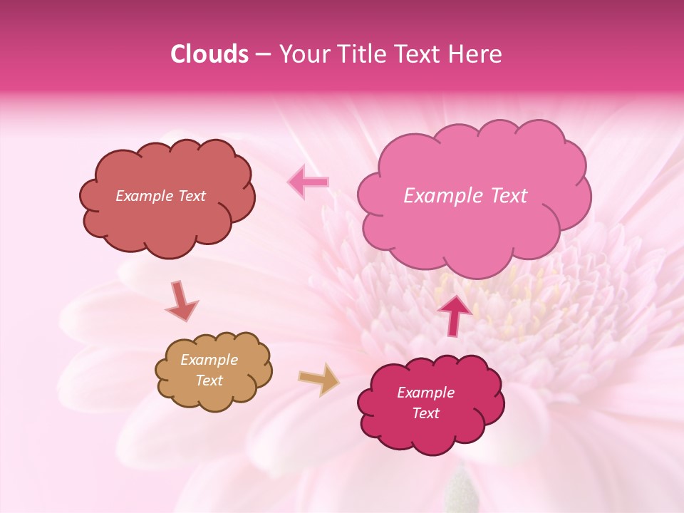 Bloom Gerbera Pink PowerPoint Template