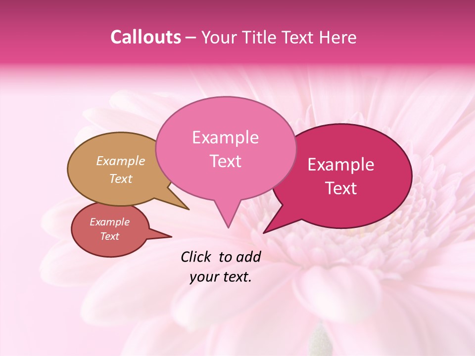Bloom Gerbera Pink PowerPoint Template