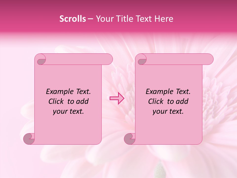 Bloom Gerbera Pink PowerPoint Template