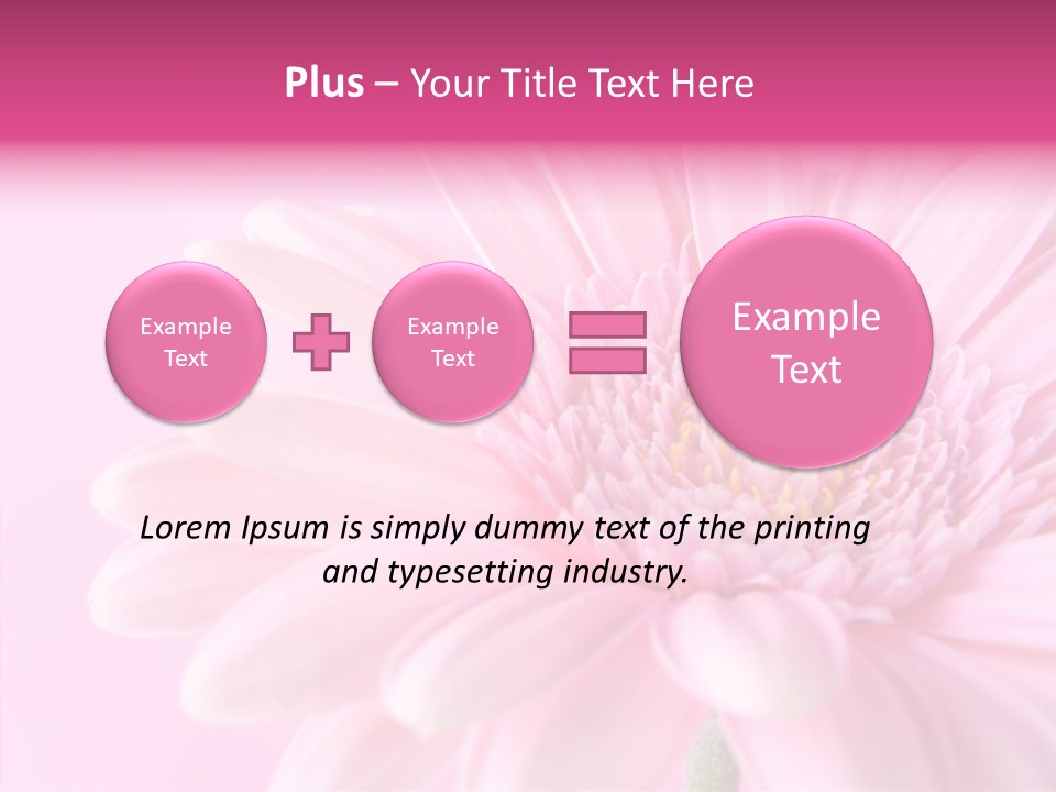 Bloom Gerbera Pink PowerPoint Template