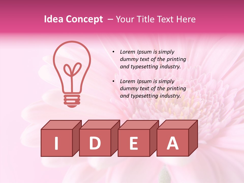 Bloom Gerbera Pink PowerPoint Template