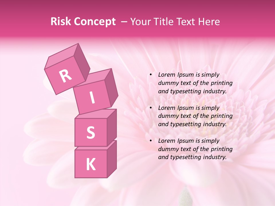 Bloom Gerbera Pink PowerPoint Template