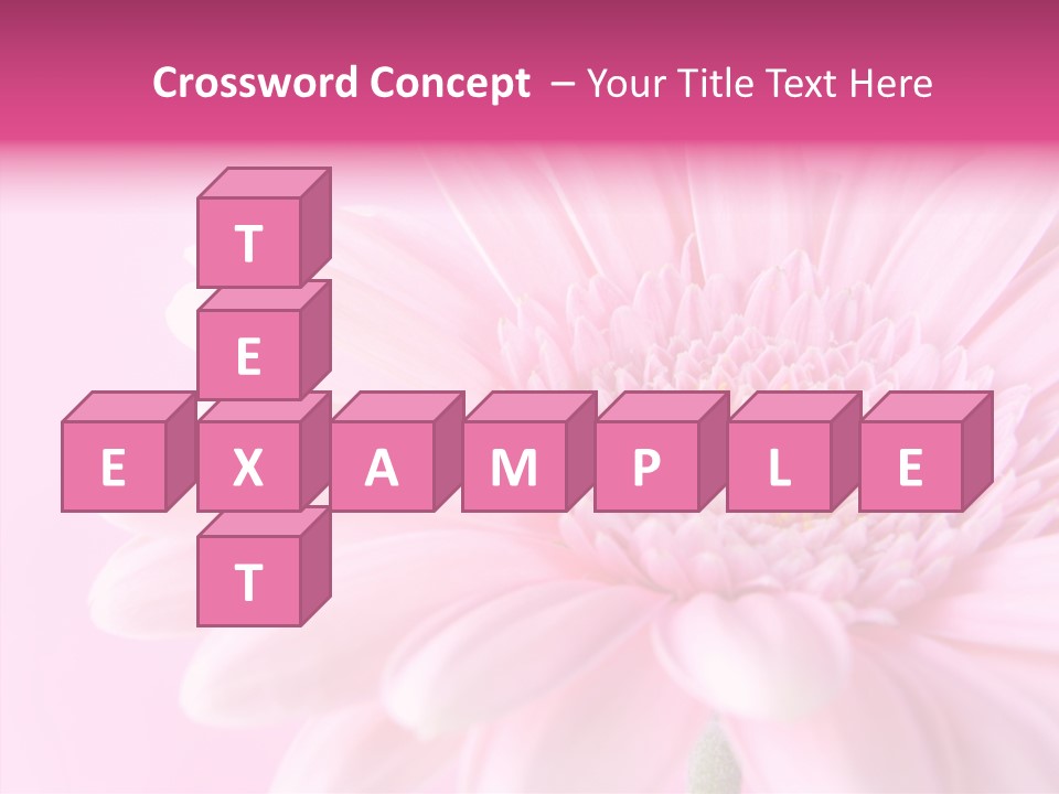 Bloom Gerbera Pink PowerPoint Template