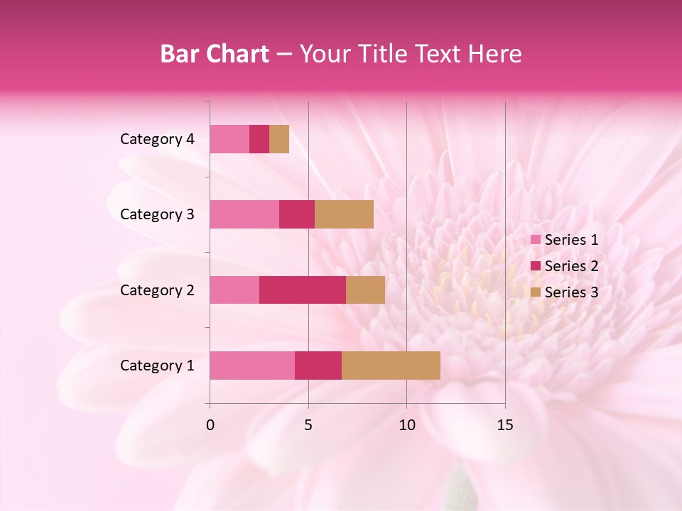 Bloom Gerbera Pink PowerPoint Template