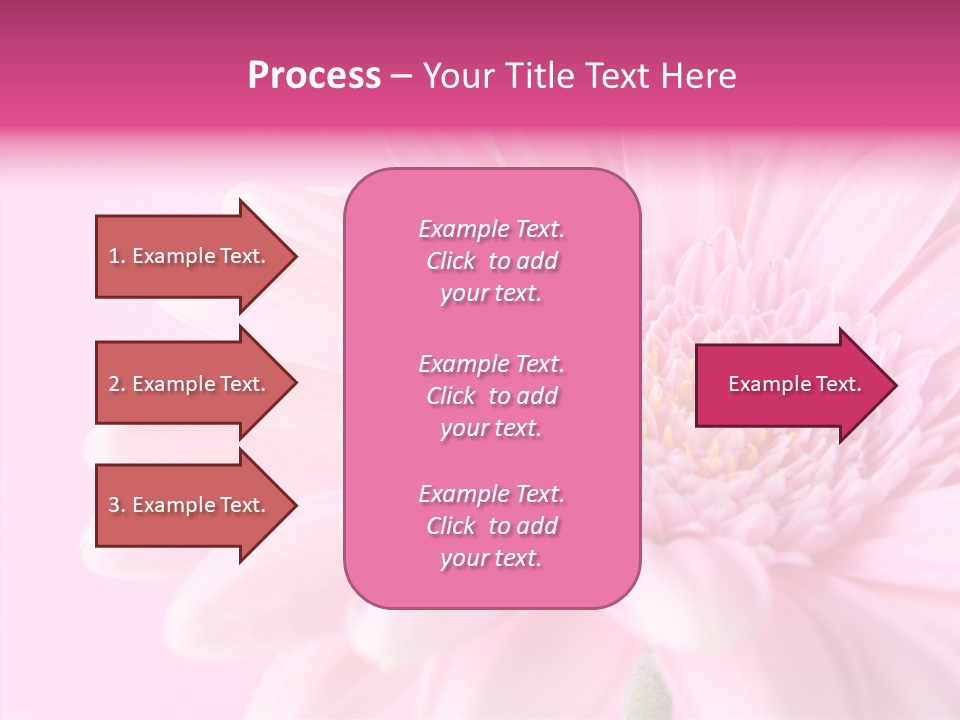 Bloom Gerbera Pink PowerPoint Template