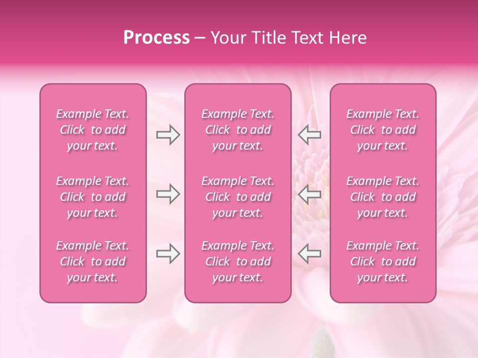 Bloom Gerbera Pink PowerPoint Template