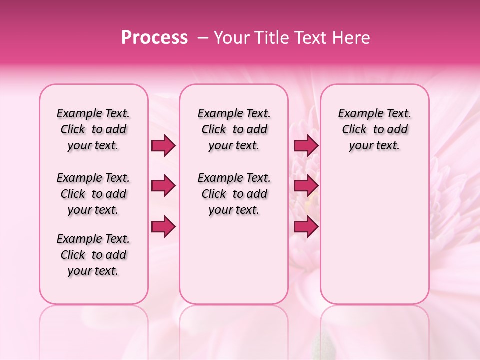 Bloom Gerbera Pink PowerPoint Template