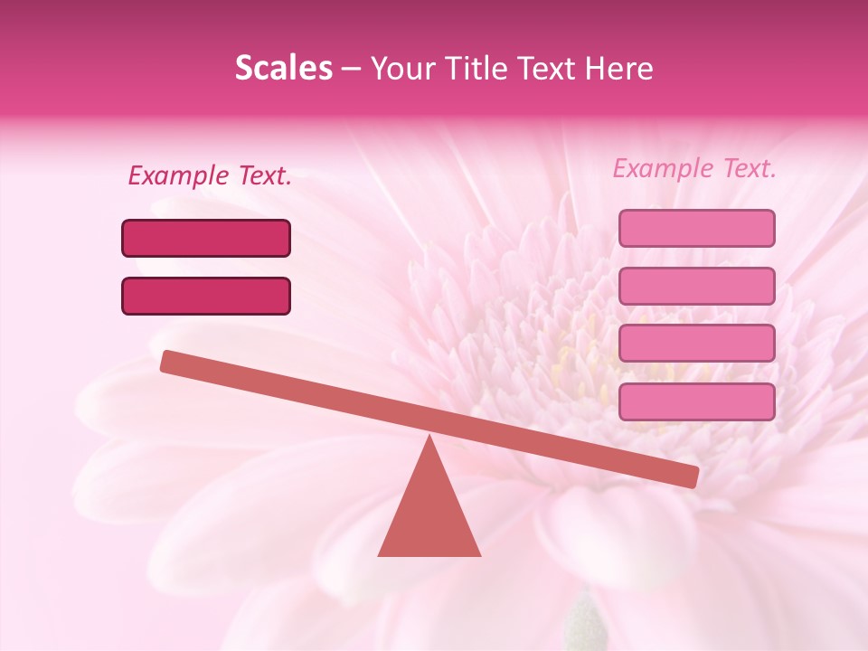Bloom Gerbera Pink PowerPoint Template