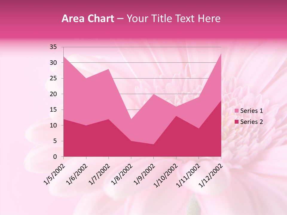 Bloom Gerbera Pink PowerPoint Template