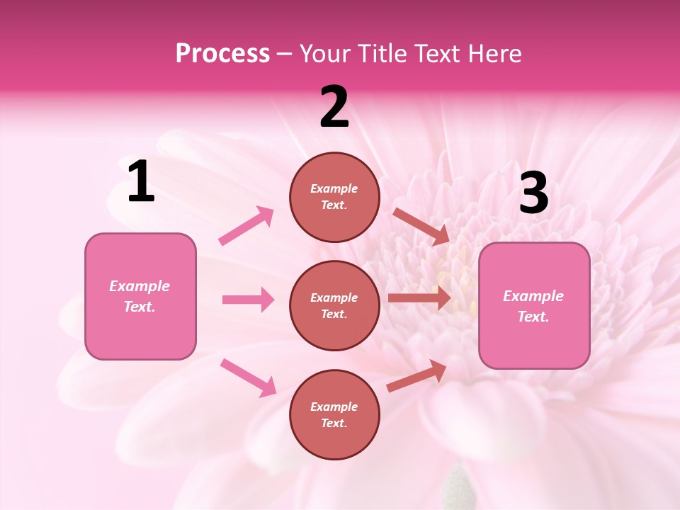 Bloom Gerbera Pink PowerPoint Template