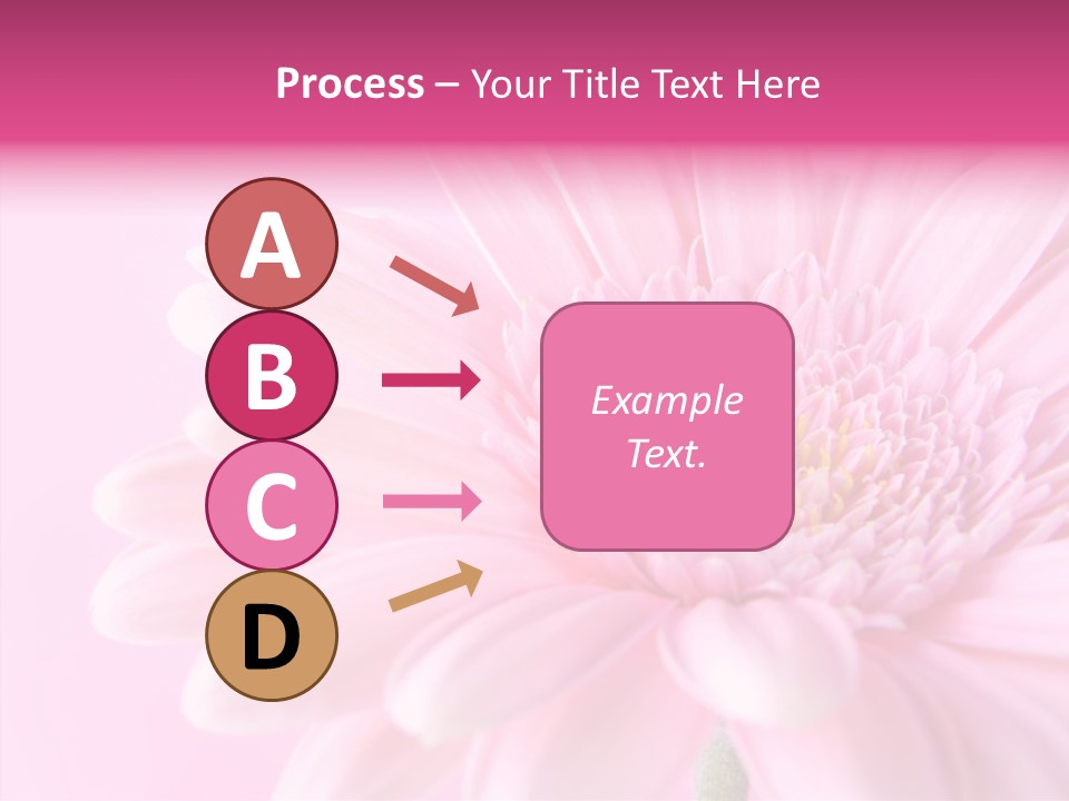 Bloom Gerbera Pink PowerPoint Template