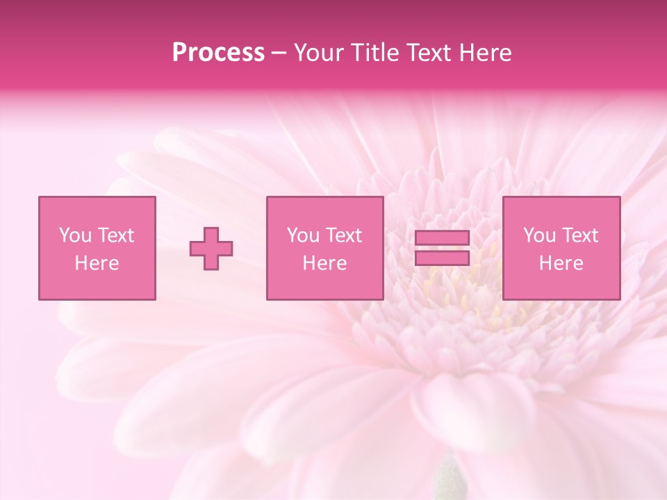 Bloom Gerbera Pink PowerPoint Template