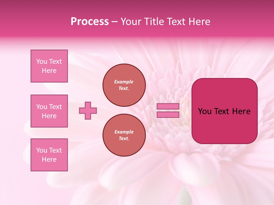 Bloom Gerbera Pink PowerPoint Template
