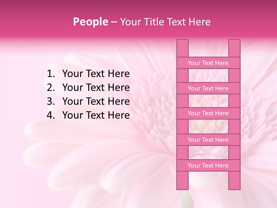 Bloom Gerbera Pink PowerPoint Template