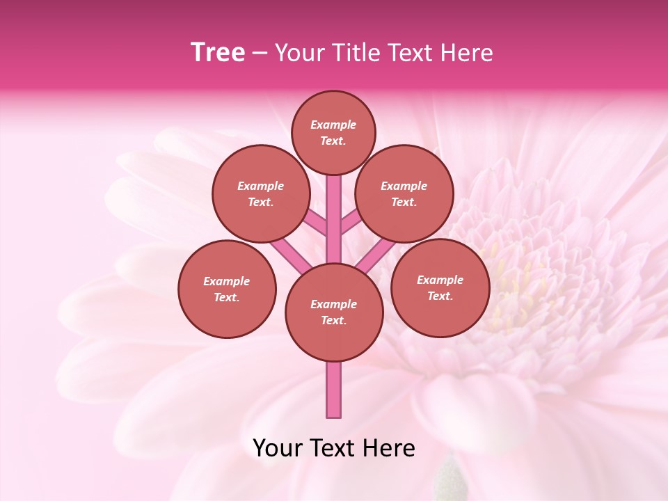 Bloom Gerbera Pink PowerPoint Template