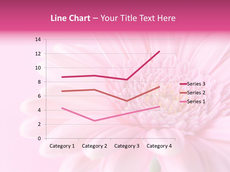 Bloom Gerbera Pink PowerPoint Template