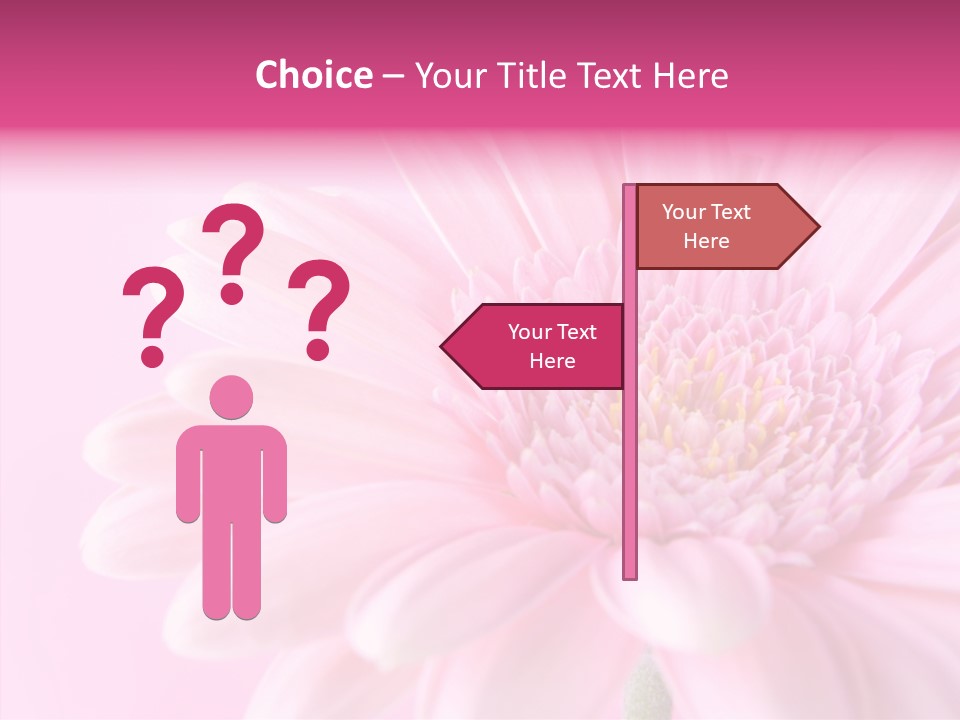 Bloom Gerbera Pink PowerPoint Template