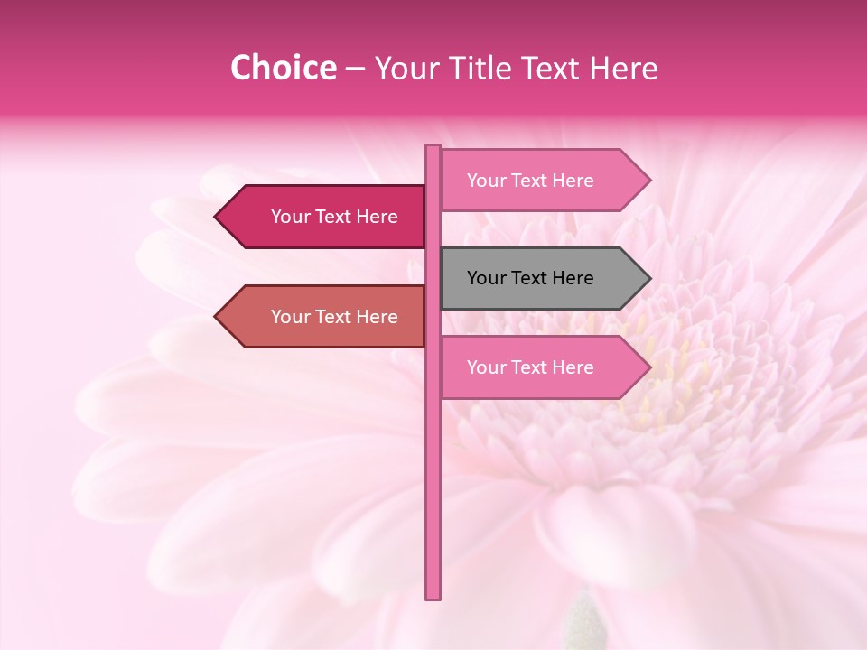 Bloom Gerbera Pink PowerPoint Template
