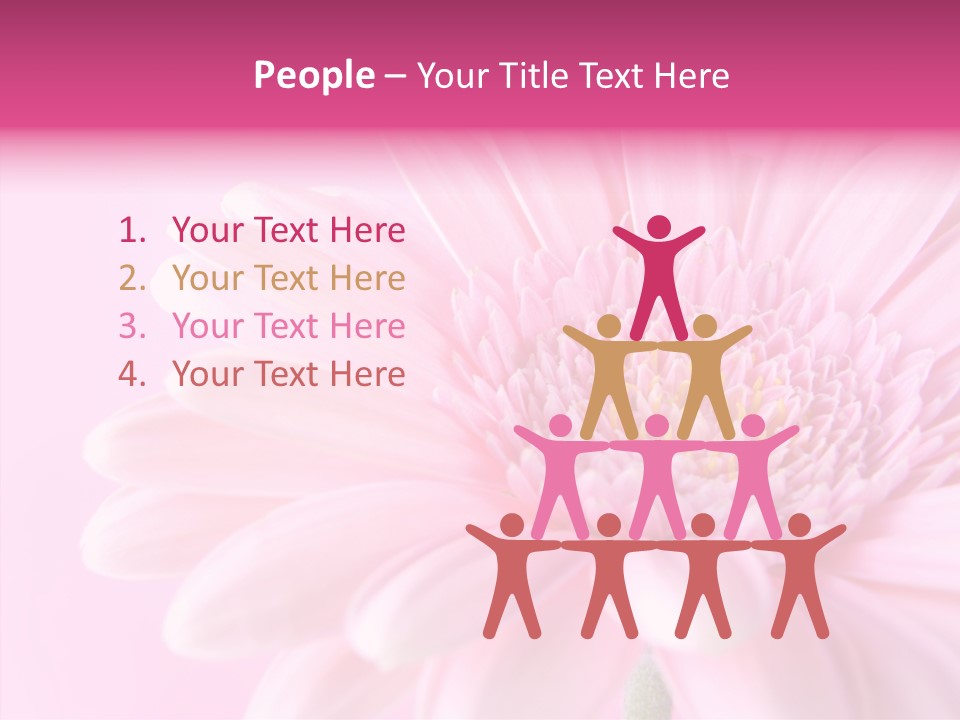 Bloom Gerbera Pink PowerPoint Template