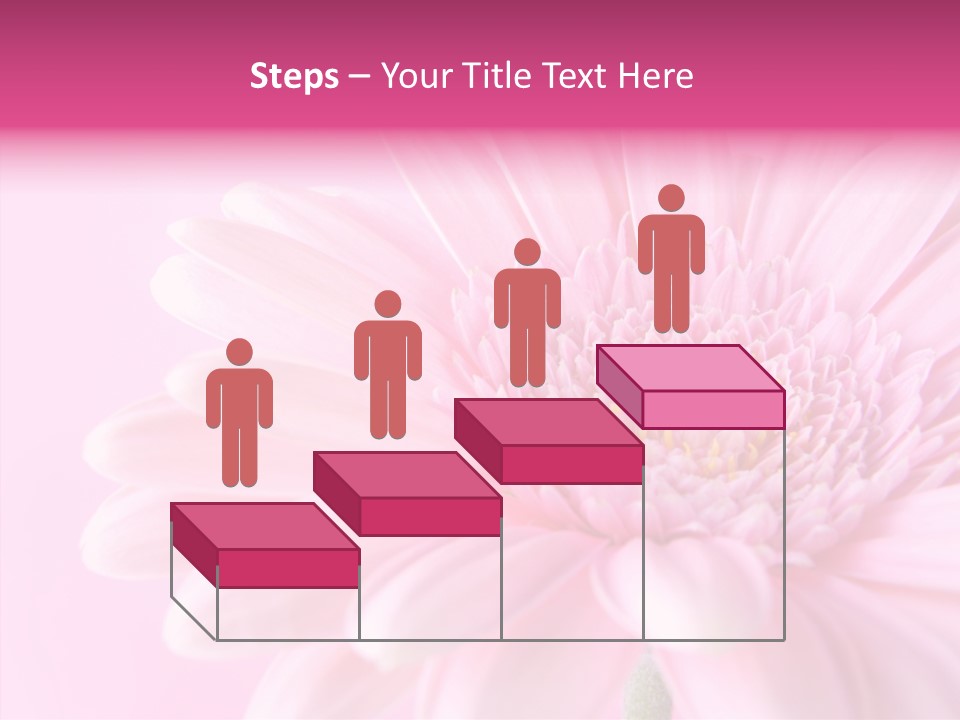 Bloom Gerbera Pink PowerPoint Template